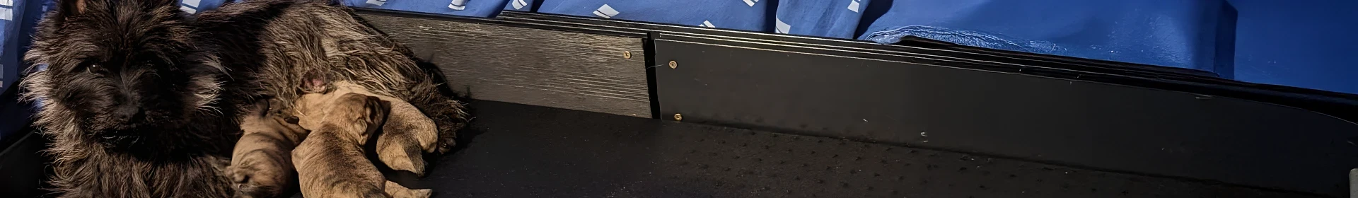 Matelas chauffant Image 1